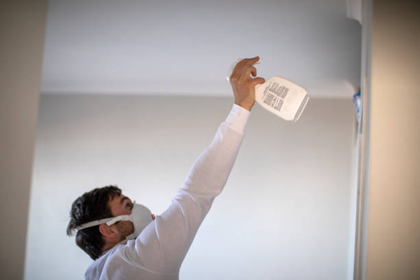 Best Black Mold Removal  in Bosque Farms, NM